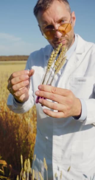試験管で熟した耳をカメラに示す眼鏡の農業技術者の垂直4Kビデオ 飢餓の問題の解決策として遺伝子組み換え食品 — ストック動画