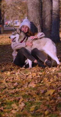 Genç bir kadın ve köpeği Husky 'nin parkta yürürken oynadıkları dikey video. Dostluk ve evcil hayvan bakımı. Yavaş çekim 4k görüntü.