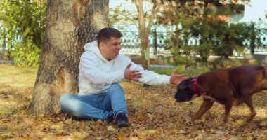 Boksör köpeğiyle oynayan bir adamın 4K videosu. Evcil hayvanlar için aşk teması. Yavaş çekim 4k görüntü.
