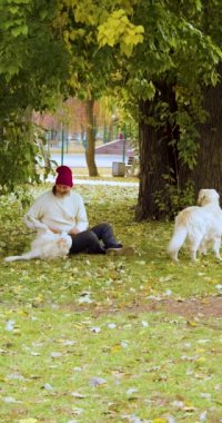 Vertical video of a middle-aged man and two dogs, golden retriever, play cute while walking in the park. Love, friendship and care for pets. Slow motion. 4k footage.
