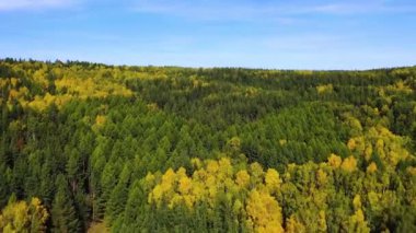4k footage - flight over green and yellow hills covered with forests. Amazing birds eye view of the national park.