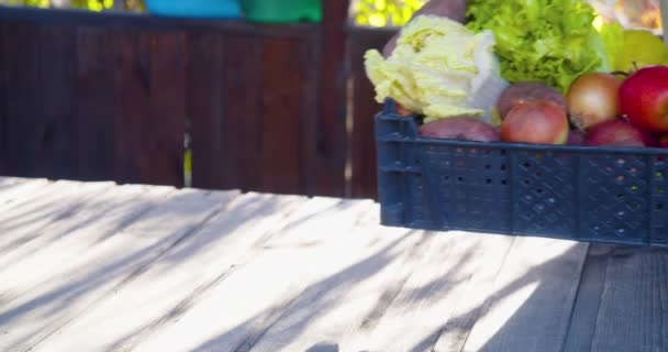 Close Gardeners Hands Putting Box Vegetables Herbs Table Concept Farming — Wideo stockowe