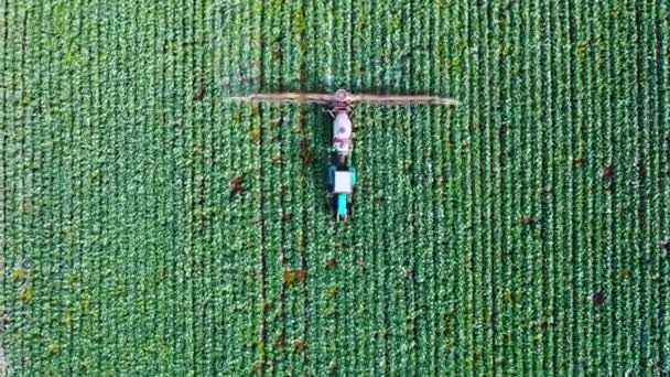 Top View Tractor Working Cabbage Field Pesticide Sprayer Tractor Working — Vídeo de Stock