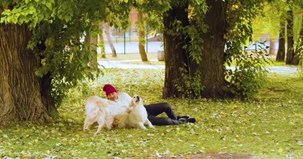 Middle Aged Man Plays His Dogs While Relaxing Park Autumn — Vídeos de Stock