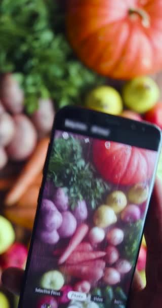 Vertical Close Video Gardener Takes Photo His Crop Smartphone Concept — Wideo stockowe