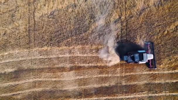 Genetically Modified Grain Solution Problem Hunger Harvest Time Palouse Aerial — Video Stock