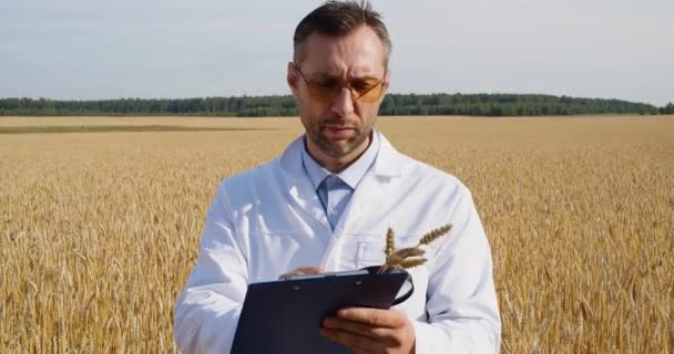 Agronomist Researcher Magnifer Examines Ears Wheat Makes Notes Clipboard Research — Αρχείο Βίντεο