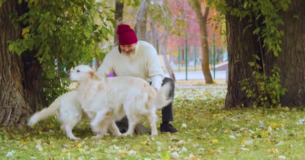 Love Pets Middle Aged Man Playing His Dogs While Relaxing — Wideo stockowe