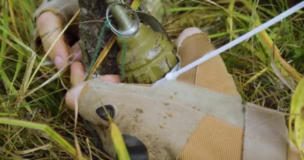 Installing Grenade Tripwire Stretched Wire Enemy Trap Forest Hands Soldier — Vídeo de stock
