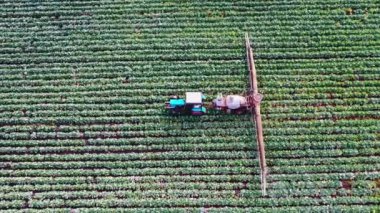 Birds eye view of a pesticide sprayer tractor working on a large cabbage field. Aerial 4k footage.
