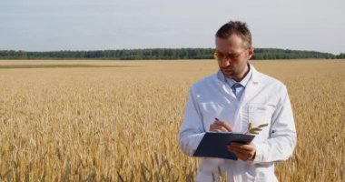 4k footage of a scientist in a wheat field checking the condition of the crop and makes notes on a clipboard. Research in the field of genetically modified foods and plants. Front view.