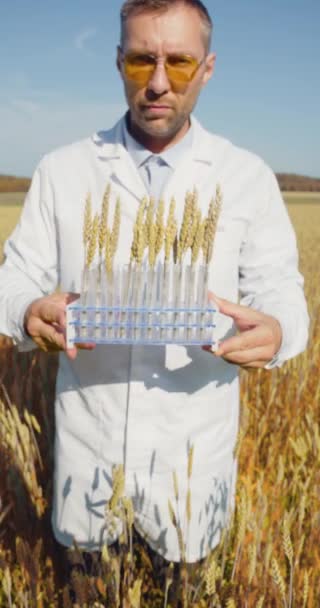 Генетически Модифицированные Продукты Решение Проблемы Голода Сельскохозяйственный Инженер Поле Показывает — стоковое видео