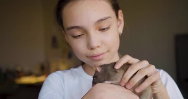 Teenage Blogger Talks Her Pet Domestic Rat Online Broadcast She — Stock Video
