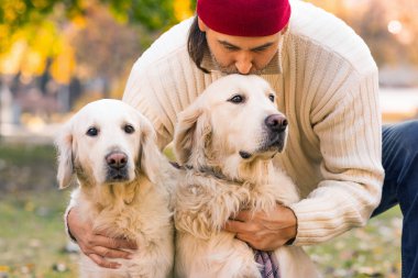 Close-up photo of a middle-aged man kissing his two dogs, golden retriever. Concept of psychological recovery through communication with animals. Love, care and understanding. Close-up photo.