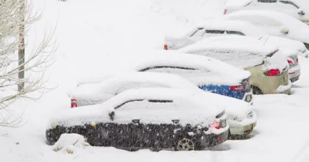 Kar Fırtınası Sırasında Karla Kaplı Arabaların Videosu Rüzgarlı Kış Havasında — Stok video