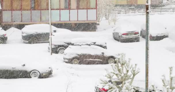 Video Una Macchina Parcheggiata Durante Una Tempesta Neve Aria Ondeggiante — Video Stock