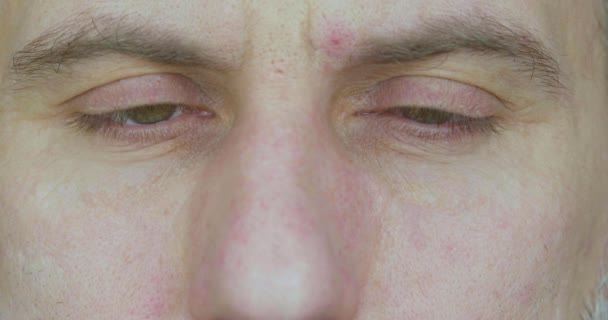 Zamknij Film Samcami Żółtymi Oczami Koncepcja Identyfikacji Oczu Materiał — Wideo stockowe