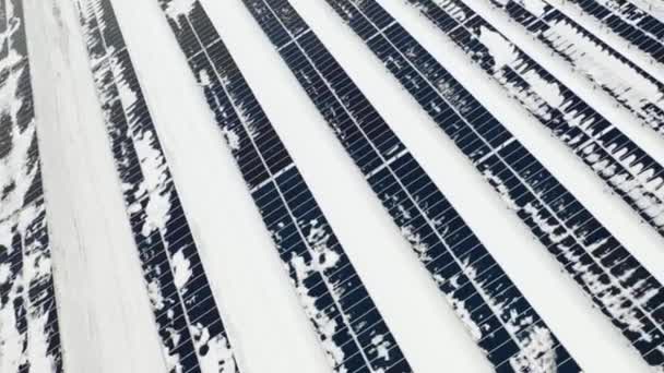 在太阳能电池板农场的鸟图 北极的奇克龙 — 图库视频影像