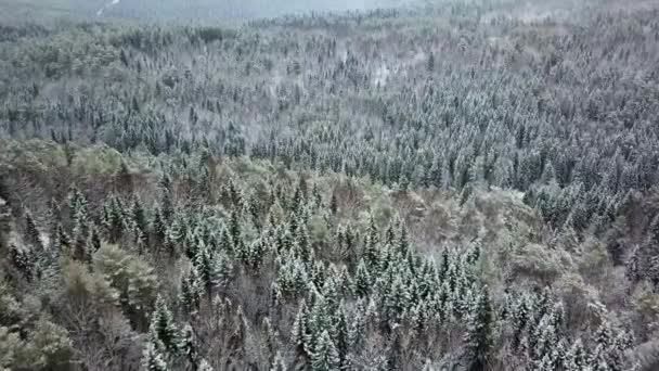 Воздушный Пролет Замерзший Снежный Еловый Лес Кадров — стоковое видео