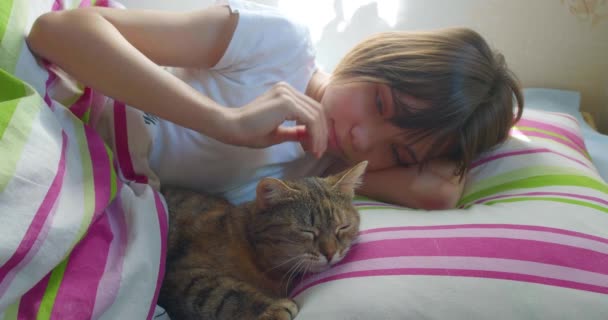 少女躺在床上抱着爱抚她的猫 灌输同情心和对动物负责的价值观的重要性 将其作为抚养青少年的一部分 — 图库视频影像