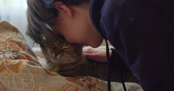 Dospívající Dívka Hladí Přitiskne Tvář Své Kočce Láska Náklonnost Domácím — Stock video