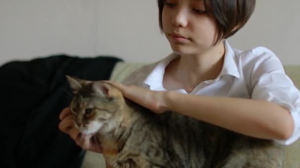 Μια Έφηβη Χαϊδεύει Γάτα Της Στο Σπίτι Αγάπη Και Στοργή — Αρχείο Βίντεο