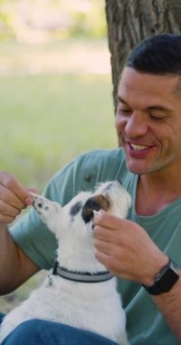 Akıl sağlığının bir yolu olarak evcil hayvanlarla sevgi ve iletişim. En iyi arkadaşı Jack Russell Terrier 'la birlikte parkta oynayan orta yaşlı bir adam. Yakın çekim görüntüsü. Yavaş çekim 4k görüntü.