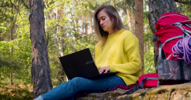 Utbildning Och Arbete Nätet Ung Kvinna Arbetar Genom Bärbar Dator — Stockvideo