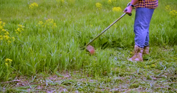 Çimleri Biçme Makinesiyle Temizleyen Bir Adamın Yakın Çekimi Fps Görüntü — Stok video