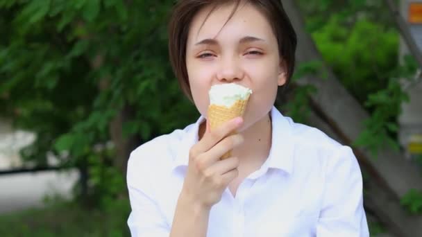 Спаситель Суть Літа Люди Створюють Чудові Спогади Кожним Укусом Морозива — стокове відео
