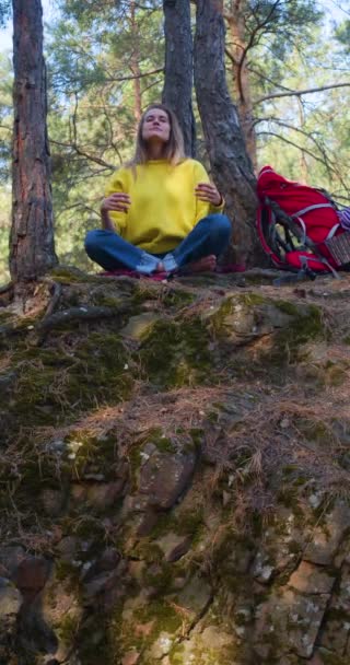 Respiră Pădurea Eliberează Mintea Meditație Tânără Într Pădure Pin Dimineaţă — Videoclip de stoc
