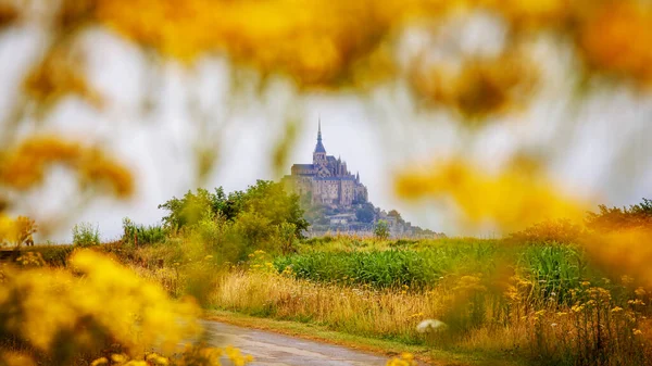 Mont Saint Michel Normandiya Nın Ünlü Manastırının Panoramik Manzarası Alçak — Stok fotoğraf