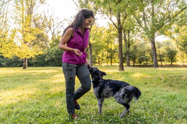 İtalyan lagorai çoban köpeğini parkta eğiten genç, güzel köpek eğitmeni.