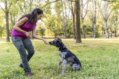 İtalyan lagorai çoban köpeğini parkta eğiten genç, güzel köpek eğitmeni.