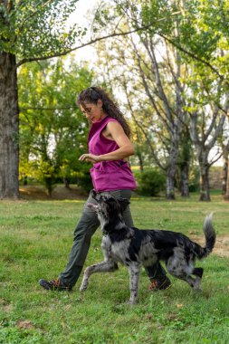 Gün batımında halka açık bir parkta genç ve güzel bir köpek eğitmeni olarak lagorai italyan çoban köpeğini eğitiyor.