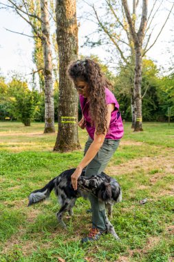 Gün batımında halka açık bir parkta genç ve güzel bir köpek eğitmeni olarak lagorai italyan çoban köpeğini eğitiyor.