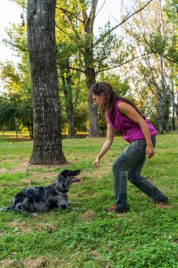 Gün batımında halka açık bir parkta genç ve güzel bir köpek eğitmeni olarak lagorai italyan çoban köpeğini eğitiyor.
