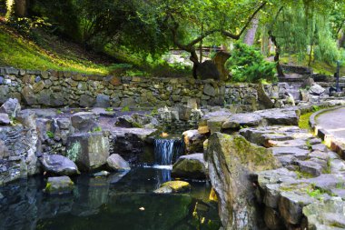 Eğreltiotu çalıları Lviv 'de bitkilerle, yosunlarla ve taşlarla çevrili bir ormanda gün batımında