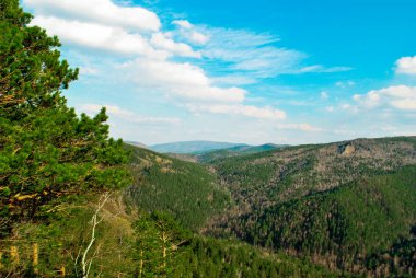 Yeşil orman manzaralı manzara, kayalık dağlar ve mavi gökyüzü.