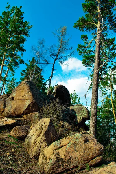 Пейзаж Видом Зеленый Лес Скалистые Горы Голубое Небо — стоковое фото