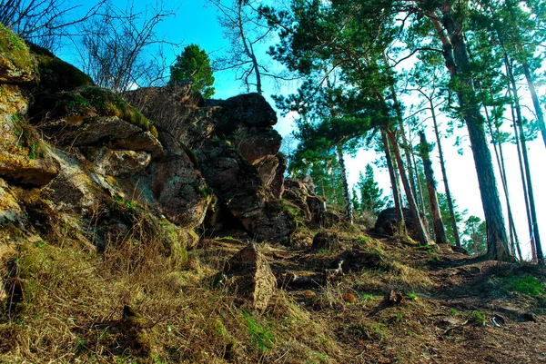 緑の森 岩の山 青い空を眺める景色 — ストック写真