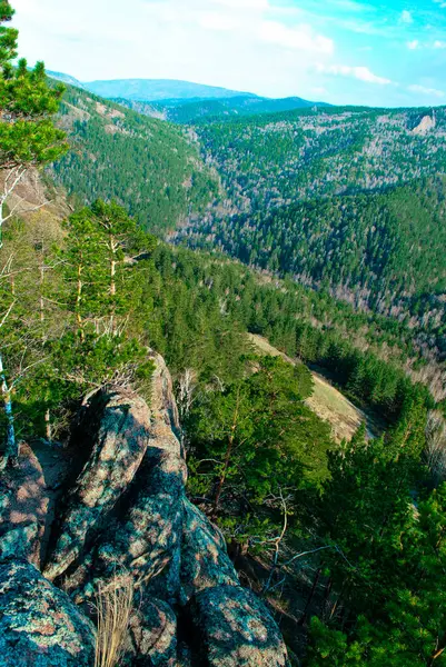 Landschap Met Uitzicht Het Groene Bos Rotsachtige Bergen Blauwe Lucht — Stockfoto