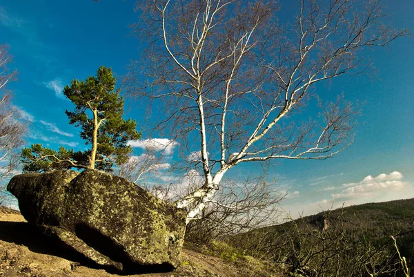 Paisagem Com Vista Para Floresta Verde Montanhas Rochosas Céu Azul — Fotografia de Stock