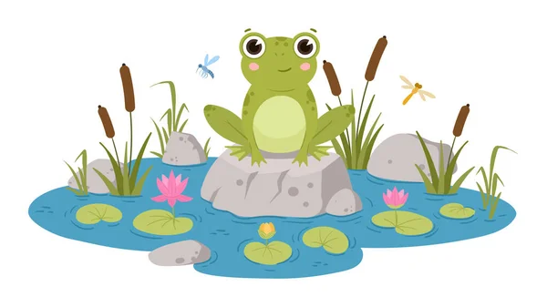 卡通青蛙坐在池塘里 可爱的两栖动物 绿色蛤蟆在自然栖息地 青蛙水生动物在池塘中与水百合和芦苇平面病媒插图 绿青蛙的性格 — 图库矢量图片