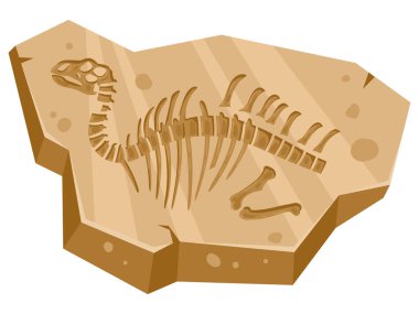 Karikatür Jurassic Dino Antik Arkeoloji Fosili. Paleontoloji sürüngen kemikleri, arkeoloji kazı eserleri beyaz arka planda düz vektör çizimi