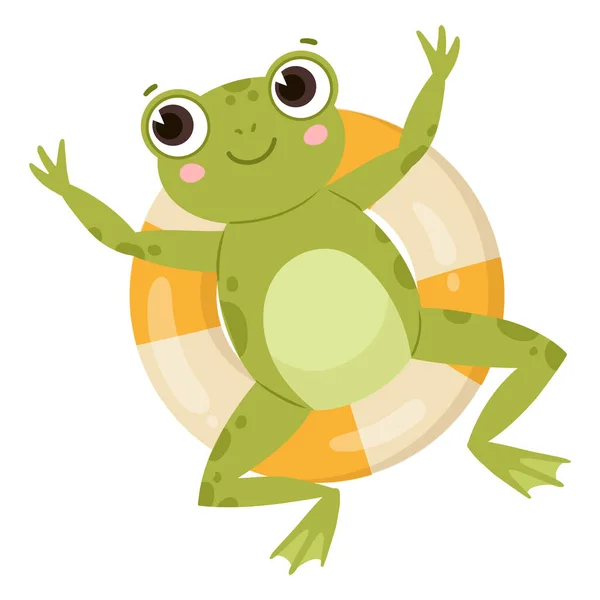 绿色的两栖动物 卡通可爱的青蛙 水生动物 可充气环上有趣的青蛙浮子 白色背景上有趣的青蛙平面矢量图解 — 图库矢量图片
