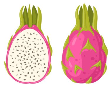 Çizgi film tropik ejderha meyvesi. Yaz taze kırmızı meyveler, tüm meyve ve beyaz arka planda yarı düz vektör çizimi