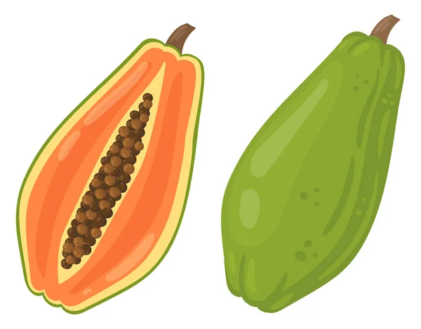 Caricatura Fruta Papaya Verano Tropical Frutas Verdes Frescas Fruta Entera — Vector de stock