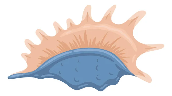 漫画の貝殻 熱帯のビーチシェル 水中の貝殻 白い背景に水生のエキゾチックな野生動物のフラットベクトルイラスト — ストックベクタ