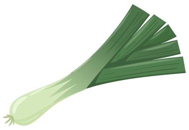 Çizgi film taze yeşil pırasa. Çiğ soğan, sağlıklı yaşam tarzı için lezzetli organik sebzeler beyaz arka planda düz vektör çizimi
